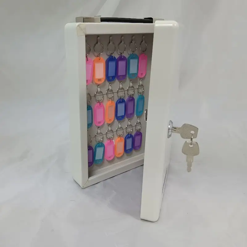 30 Keys cabinet cylinder lock with handle